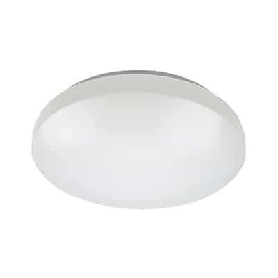 Ceiling Light With Backup White LED